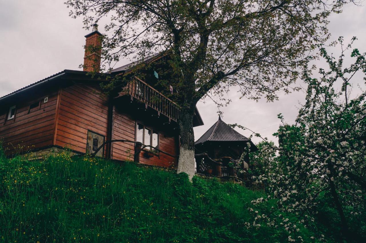 Будиночок В Карпатах Jaremče Exteriér fotografie