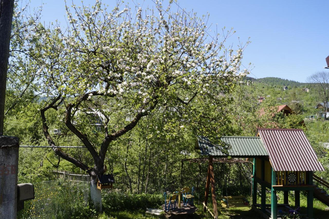 Будиночок В Карпатах Jaremče Exteriér fotografie